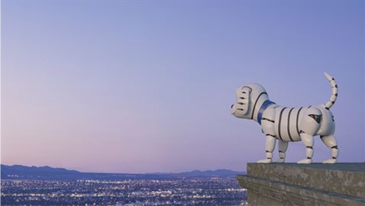 Reflections on another crazy fulfilling year at Salesforce